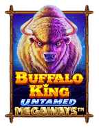 สนุกกับการชนะที่ win joker เกมสุดมันส์!