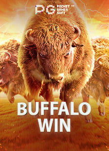 แทง คา สิ โน: ประสบการณ์สนุกและทำกำไร